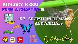 15.7  GROWTH IN HUMANS AND ANIMALS