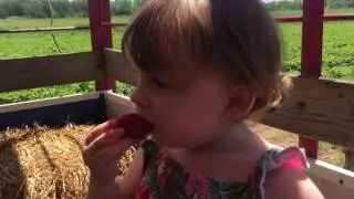 Chesterfield Berry Farm 5.14.16