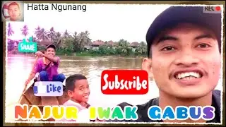 Jelajah sawah !! Ketemu sport lokasi najur yang bagus.