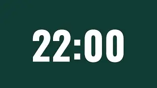 22 MINUTE TIMER/COUNTDOWN