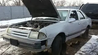 Junkyard Find: 1986 Ford Tempo GL