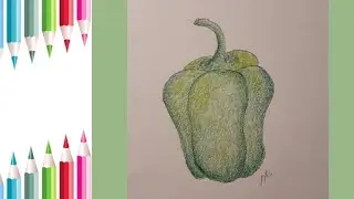 How to Draw a bell pepper step by step tutorial