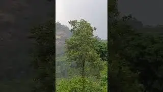 Kerala Karnataka Border #shorts