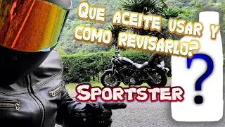 kC_10_Que aceite usar y como revisar el nivel de aceite? Sportster Iron 883 2015