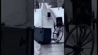Amish Ice Buggy Wipeout Run ❄️🐎 #blackice #winterdriving