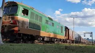 Treno Natura Buonconvento d345 + d445 #d445 #d345 #buonconvento #fs #trenonatura