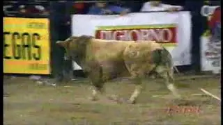 Rogerio Ferreira vs Punk - 98 PBR Tucson (87 pts)