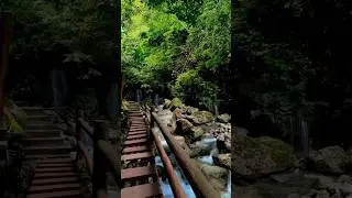 Relaxing, Cinematic, Peaceful, Ambient, Smooth, Slow, Tropical, Light #shorts