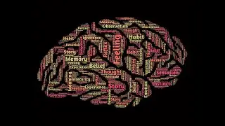 The Psychological Benefits of Being Debt-Free