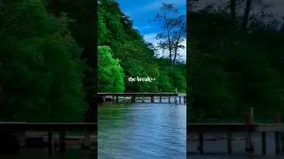 This Is What a Real Break Looks Like 🌿. #nature            #viral #shorts #reels #naturelovers