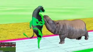 Mammoth Elephant Cow Tiger Choose The Right Key Challenge Game Animal Crossing Fountian With Gorilla