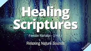 Healing Scriptures (Looped) | Fall Asleep w/ Soothing Rain | Sleep Better | Female Voice Audio Bible