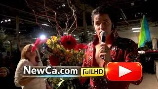 🌻 Flowers and Gardens at the Canada Blooms 2015 🌼💐🌹🌷🏡 (HD)