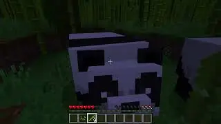 LA HISTORIA DEL PANDA Y EL GATO