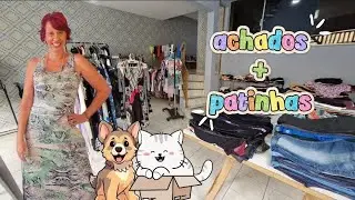 BRECHÓ DO BARTHÔ NESTE FIM DE SEMANA! COMPRE E AJUDE A CAUSA ANIMAL! - Melindre Flor