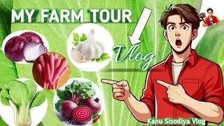 ☘️my farm tour 🌾 full vlog हर चीज उगा रखे है हमारे ❤️ #kanusisodiya #kanu #kanuvlogs #dailyvideo 