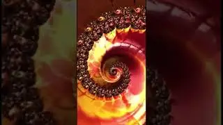 Zoom inside a Mandelbrot set #fractalart #shorts