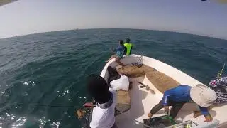 Queenfishing(4)150618