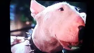Babe Pig in the City (1998)  -  Smooth Criminal Music Video Scene HD Musical Movie Clips 