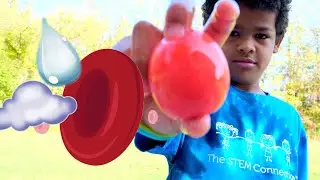 Egg Osmosis Activity