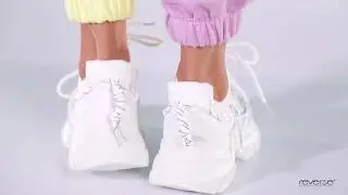 www.reverse.ro