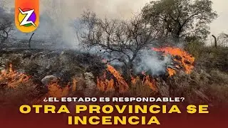 DESFINANCIAN LA LEY BOSQUES Y CRECEN LOS INCENDIOS | C&Oacute;DIGO DE BARRAS