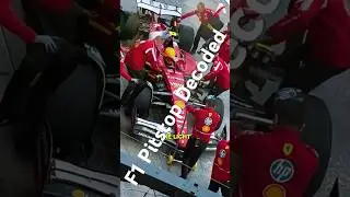 The Lollipop to Light Transition #f1 #f1shorts #f1racing #f1pitstop #lewishamilton #maxverstappen