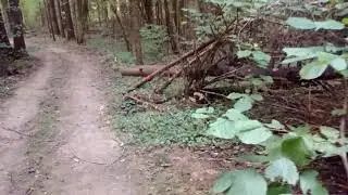 Если с другом вышел...в ЛЕС)))