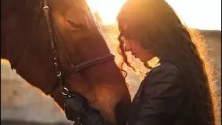 Wake me up// Equine music video