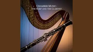 Arpeggione Sonata in A Minor, D. 821: I. Allegro moderato (Arr. for Clarinet and Piano by S....