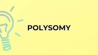 What is the meaning of the word POLYSOMY?