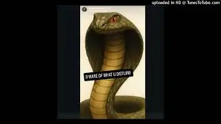 [WC:RP](IC) Baby Crutch🐍 x T5Drench- One Cobra