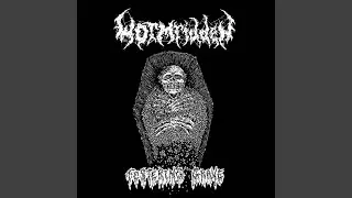 Infested By Worms