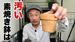 こんなに汚い植木鉢はこうする【園芸超人カーメン君】
