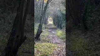 We&rsquo;ve THOUSANDS OF MILES of OLD RAILWAY LINES to enjoy since the controversial 1960s BEECHING AXE