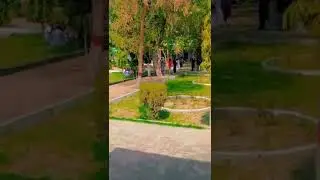Degree Collage Layyah city MashaAllah #beautiful #naturalbeauty #ost #int