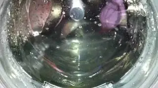 Bosch Avantixx 7 ActiveWater- Rinse Only Programme (Requested by WFK2831)
