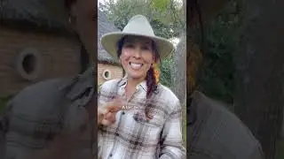 7 Coisas que eu parei de comprar quando vim morar no campo