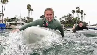 Bark x Surftech Prone Paddle Boards