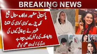 PAKISTANI ACTRESS MINAHIL SHEIKH BIOGRAPHY | PTV Actress Minahil Sheikh Ki Dardnak Kahani | منال شیخ