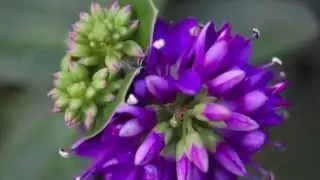 Photos from Embrace macro photography workshop