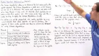 Sequencing Amino Acids in Proteins