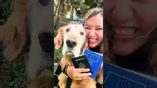 How to move abroad with dogs 👀🛩️🗺️