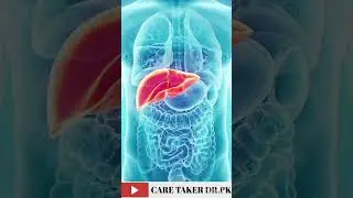 Liver anatomy//Liver regeneration 🧐🧐#short #shorts #health #medicalstudent #gmc #anatomy #biology