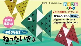 折り紙 Origami・ねったいぎょ Tropical fish