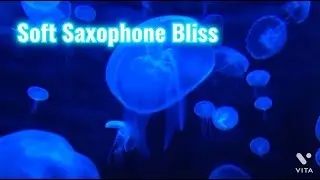 Romantic Relaxing Saxophone Music - Best Saxop Love Songs - Soft Background Music video