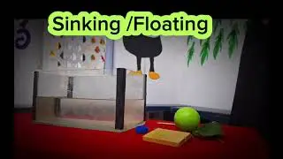 Preschool activities   Experiment   Science   Floating Sinking   HOS PRE SCHOOL