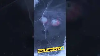 Found a Rake Trapped in Ice #frozeninice #rake #undeice