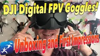 DJI Digital FPV Goggles System &ndash; Unboxing and First Looks
