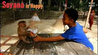 Abandoned Baby Monkey Sovana is Happy With Human Kids, Maybe Baby Sovana Doesn't Know She's A Monkey